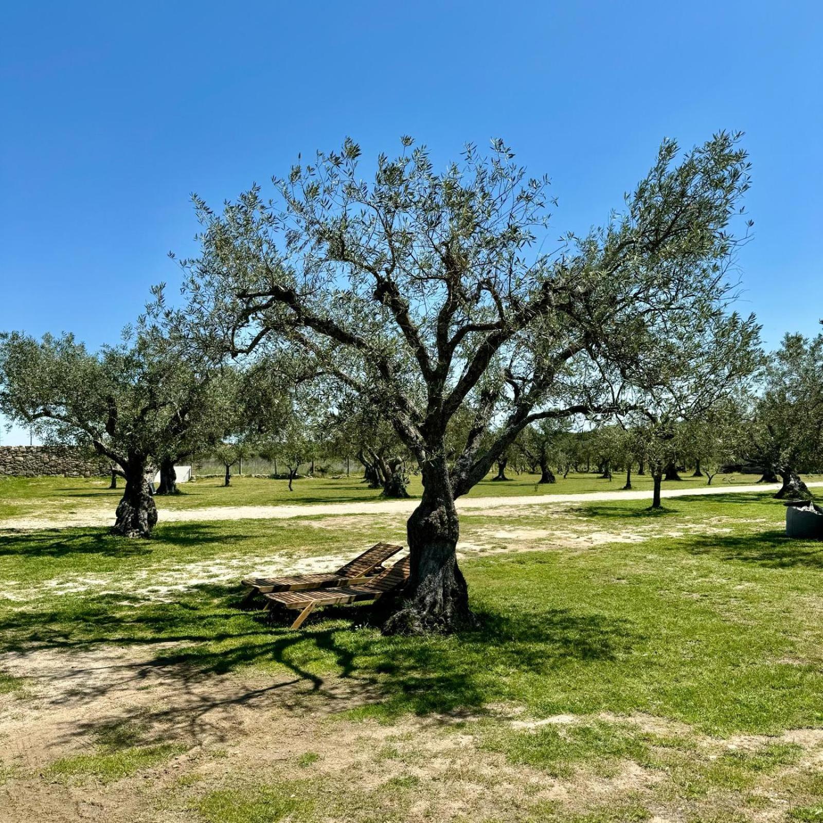 Villa Quinta Do Nobre Marialva Esterno foto