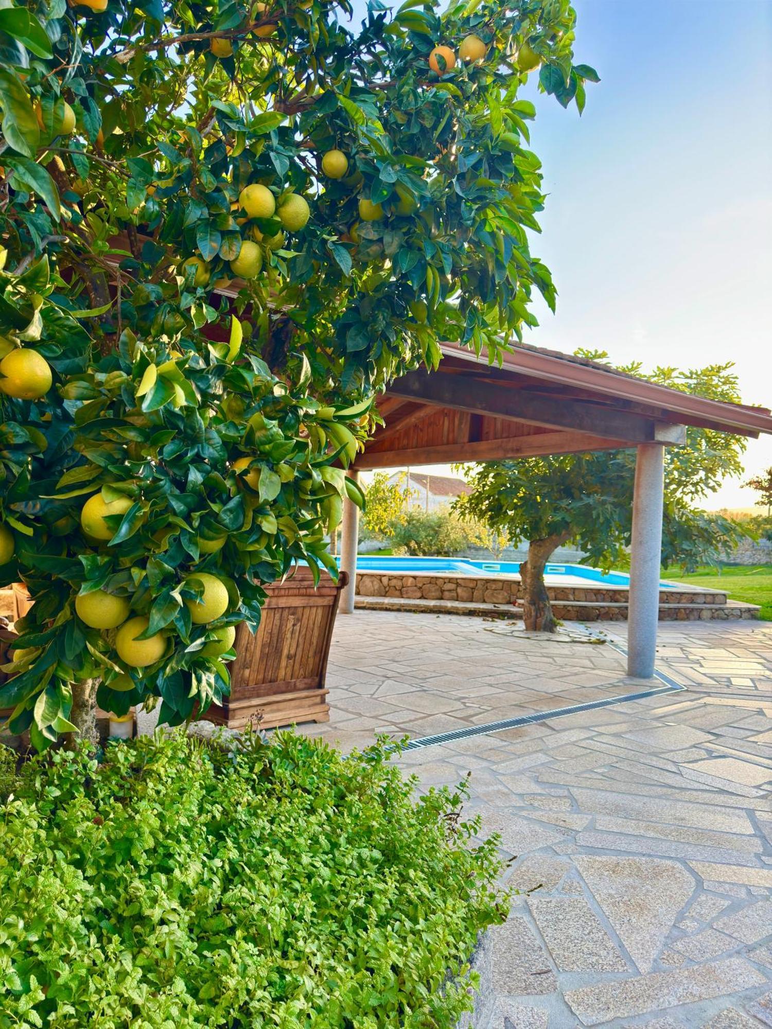 Villa Quinta Do Nobre Marialva Esterno foto